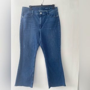 J Jill jeans pants size 12